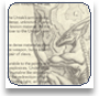 Book of Characters