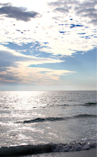 Silver Sunset